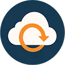 Critical Backup Icon
