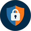 Cyber Security Icon