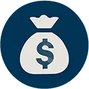 Dollar Bag Icon