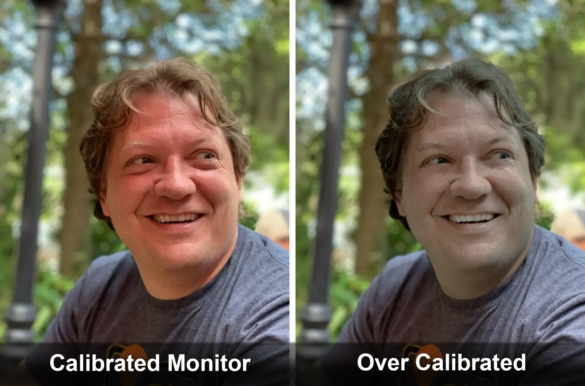 A comparison image showing what happens with miscalibrated monitors.
